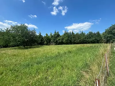 Terrain