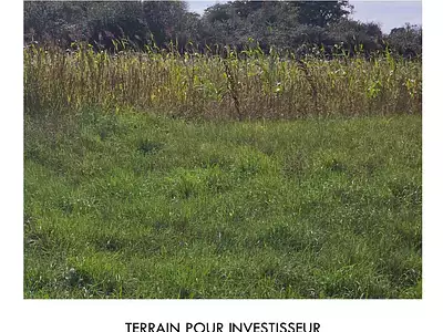 Terrain, 500 m²