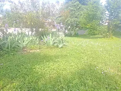 Maison, 170 m²