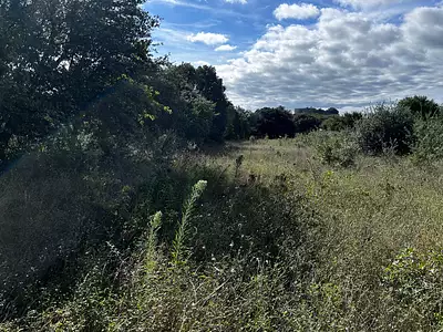 Terrain, 1 200 m²