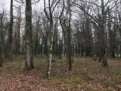 Terrain, 2 597 m²