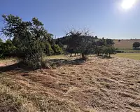 Terrain, 1 358 m²