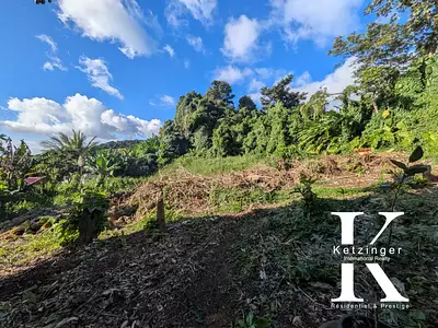 Terrain, 1 200 m²