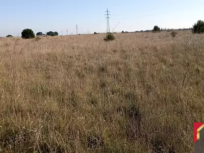 Terrain, 30 686 m²
