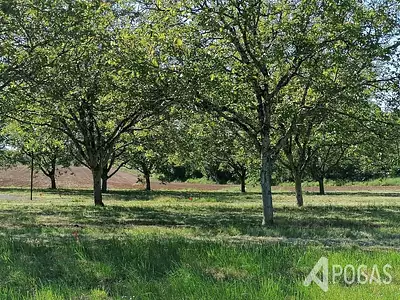 Terrain, 1 148 m²