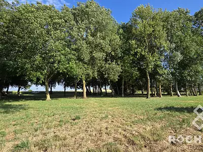 Terrain, 5 119 m²