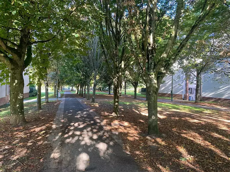 Appartement, 52,37 m²