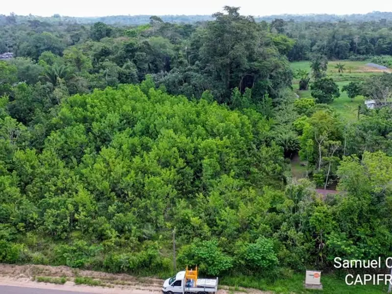 Terrain, 15 000 m²