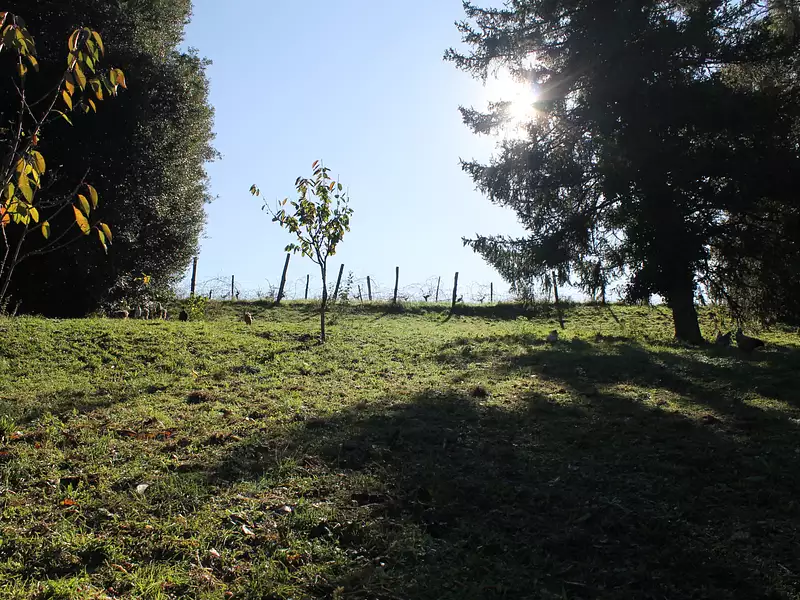 Maison, 210 m²
