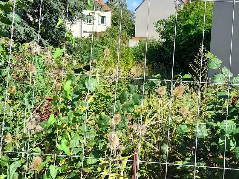 Appartement, 431 m²