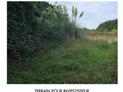 Terrain, 500 m²