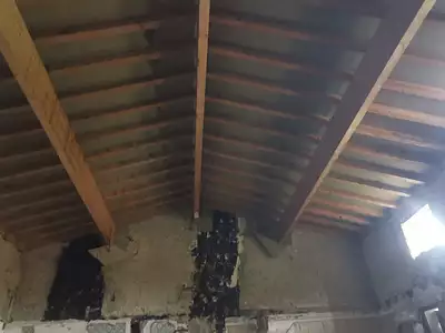 Maison, 900 m²