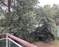 Appartement, 22,26 m²