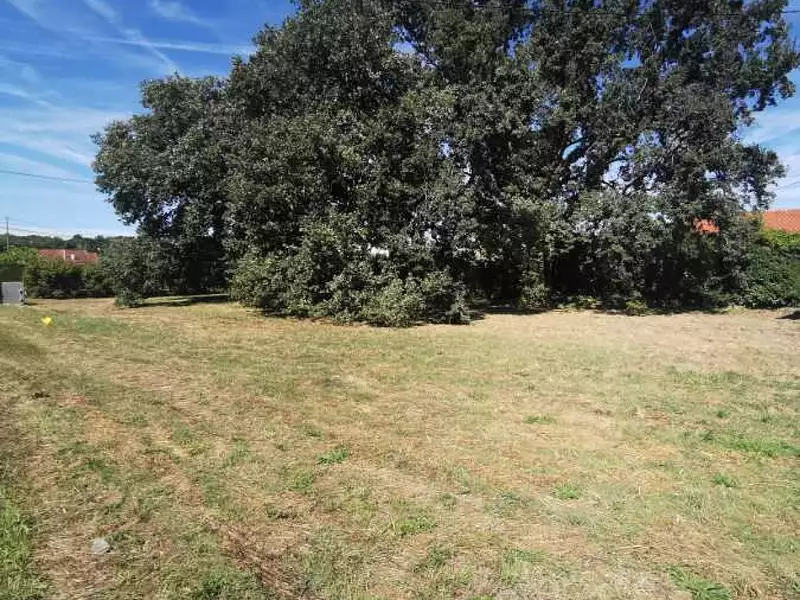 Terrain, 530 m²