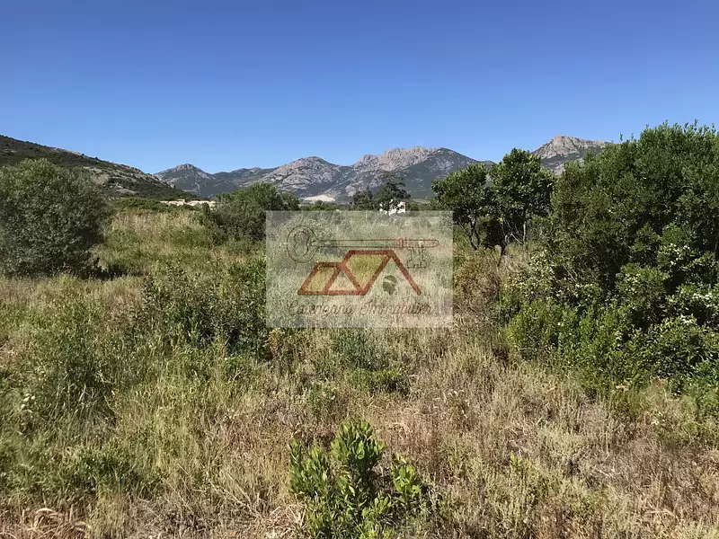 Terrain, 5 000 m²