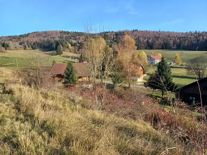 Terrain, 1 168 m²