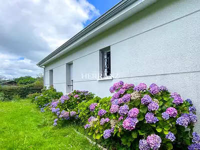 Maison, 101 m²