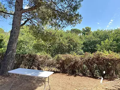 Maison, 49,5 m²