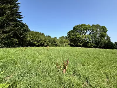 Terrain, 2 497 m²
