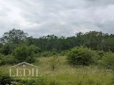 Terrain, 10 000 m²
