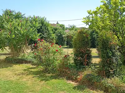Maison, 233 m²