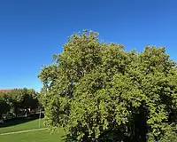 Appartement, 59,68 m²