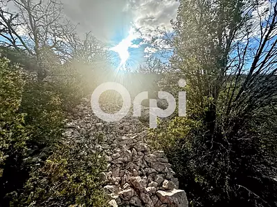 Terrain, 36 920 m²