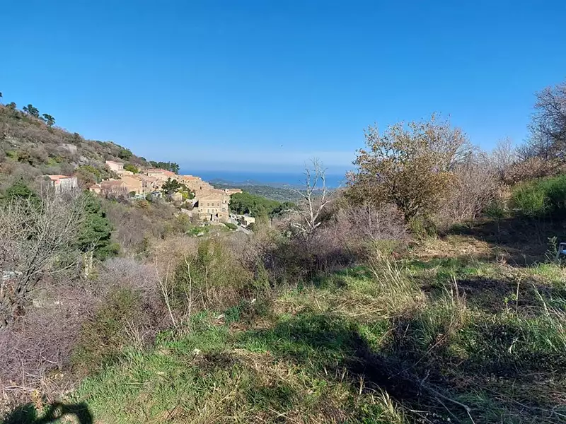 Terrain, 3 646 m²