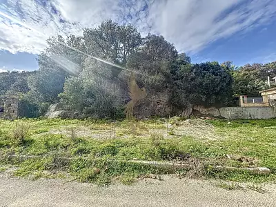 Terrain, 2 259 m²