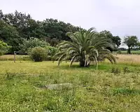 Maison, 136 m²