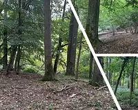 Terrain, 850 000 m²