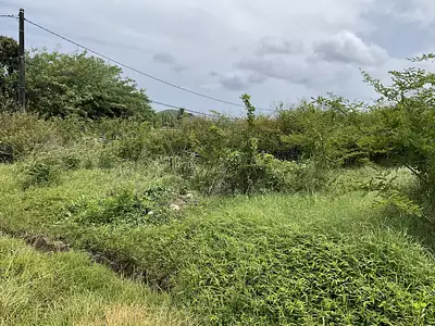 Terrain, 513 m²