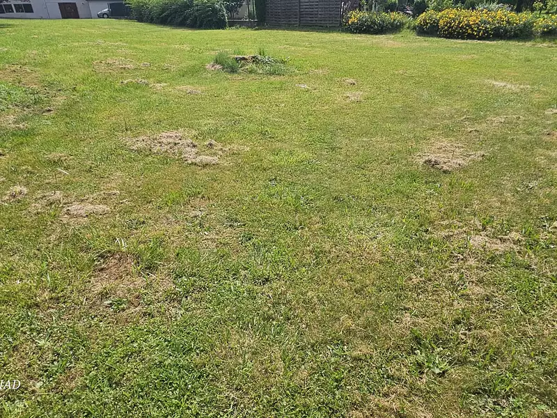 Terrain, 600 m²