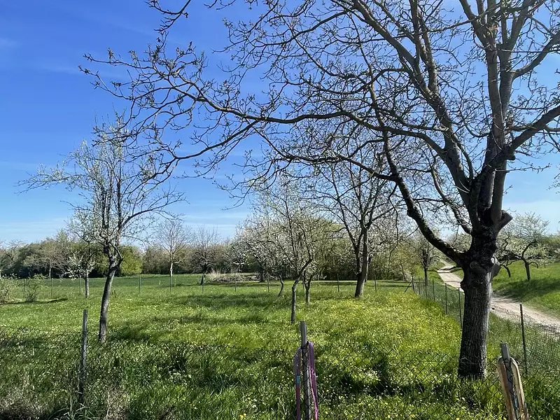 Appartement, 84 m²