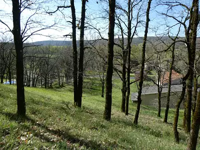 Terrain