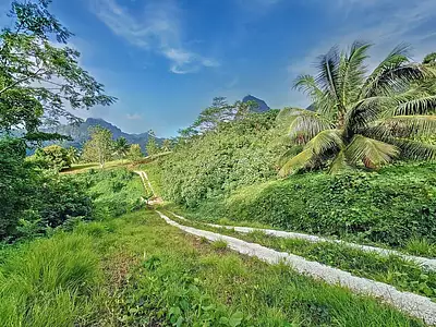 Terrain, 1 900 m²