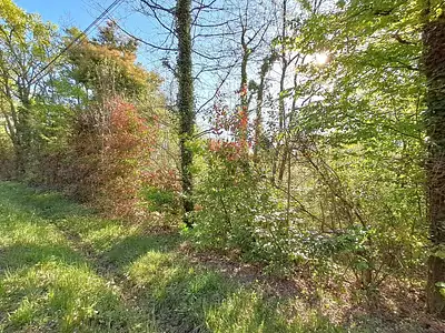 Terrain, 7 614 m²