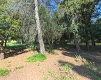 Terrain, 1 482 m²