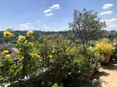 Appartement, 101,65 m²