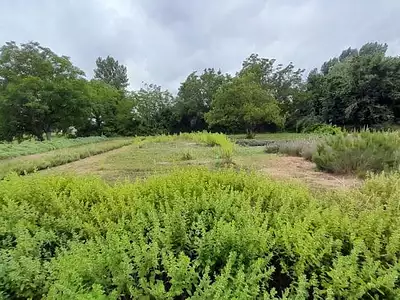 Maison, 126 m²
