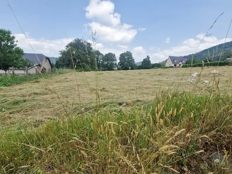 Terrain, 3 436 m²