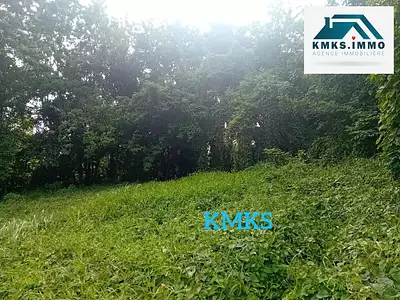 Terrain, 5 024 m²