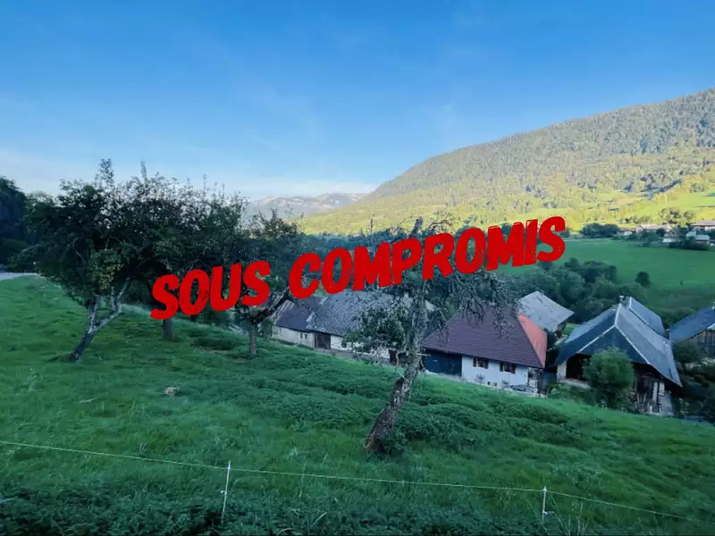 Terrain, 1 200 m²