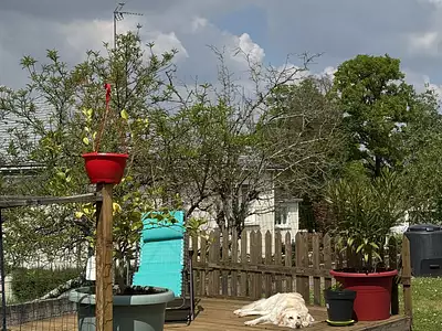 Maison, 80 m²