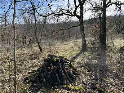 Terrain, 1 900 m²