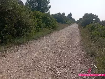 Terrain, 1 676 m²