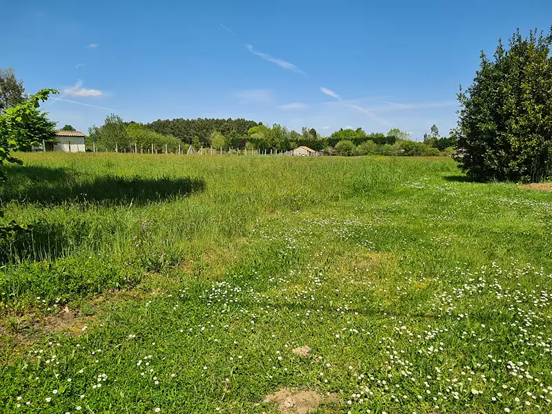 Terrain, 1 582 m²