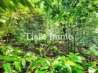 Terrain, 6 953 m²