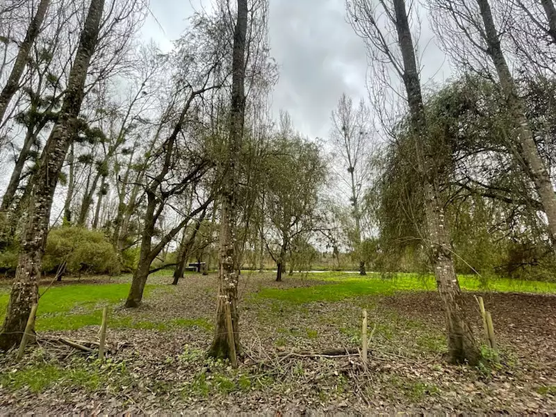 Terrain, 2 210 m²