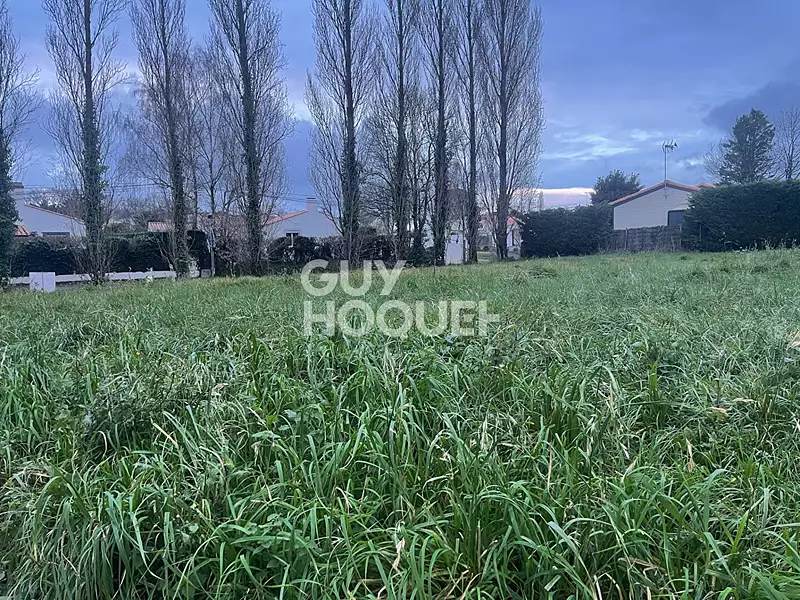 Terrain, 503 m²